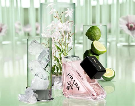 Prada paradoxe virtual perfume